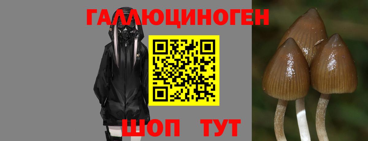 Псилоцибиновые грибы ЛСД Великие Луки